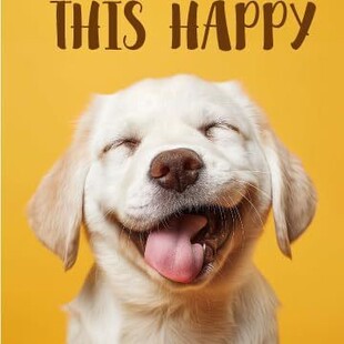 3D���w��ëȮ�����R����̏���ʽ����ף�����m��춐۹���ʿ�ɶ���