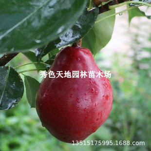 �޽Ӽt���������m�t��M��t��������m�t��������Ե��Ԯ���Y��