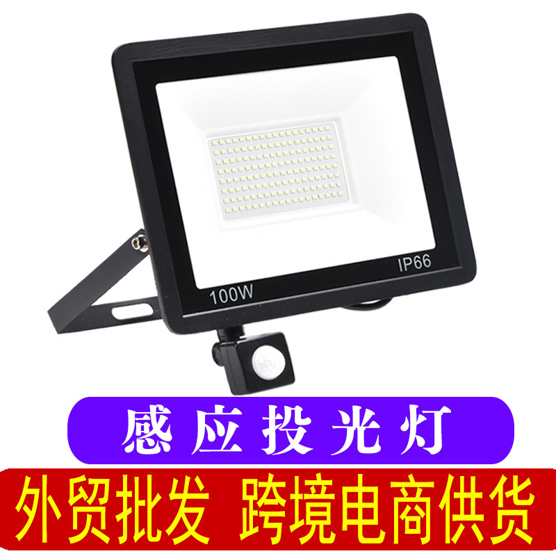 Human Motion induction led light 30W50W100W flood light courtyard outdoor waterproof led floodlight garage light