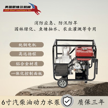 ����ɪ�S��6�����͙Cˮ��SW6CQY �θ� �L�� ������Ѵ �@�ֹ��