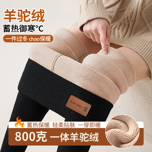 ����800�����q��ůѝһ�w�����n�����ﶬ��ѝŮ�⴩�ӽq���ѝ