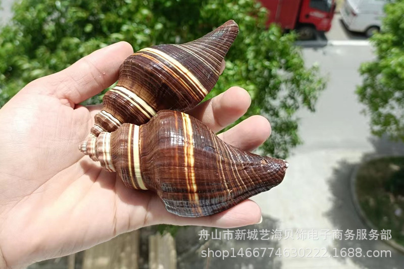 微信图片_20220630172654_副本1