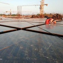 ���؏ͺϰ��ɫ�p�渲Ĥ��о��������Y�ϏS�Ұ������a ���D��