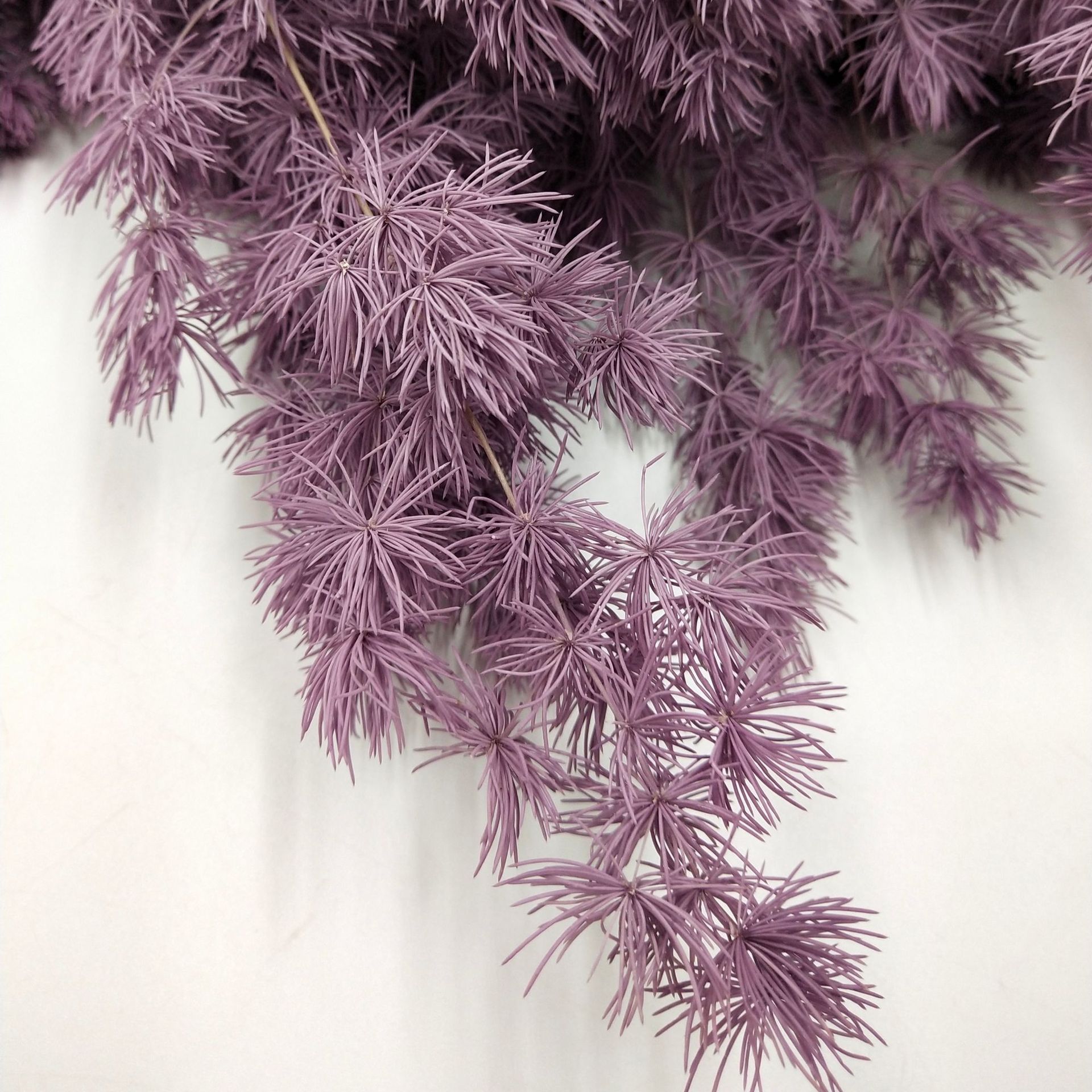 4567e42c0232e6cfe6813a82372ec1