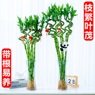 �����D�\��ˮ�฻�F��ֲ���_�\��ˮ�B�͏d������������ؔ�҃�