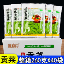 清水贡菜260g*40袋整箱现成火锅贡菜无叶干贡菜冒菜食材批发餐饮