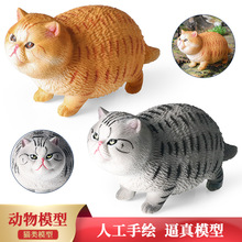 �羳���挍��؈��[�����նY��ɐ۶�ë؈��؈����؈��؈����[��