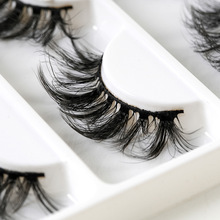 ���R�d���ӝ��ܿ�3D���w�����ë �������y���۽�ë ���N���۽�ë