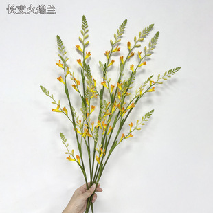 ��������m �廨��ˇ��֦�����B�ȼtɫ��Y�ߙn�Ƶ�ܛ�b�������