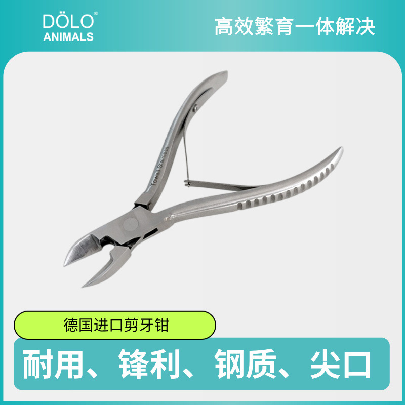德国 进口 仔猪 剪牙钳 尖口 剪牙 无缝 量大从优