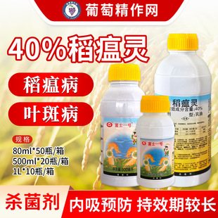 ���� ��ʿһ̖40%�����`ˮ���������㽶�~�߲��rș���������l