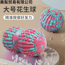 12cmړpβ̖⽛ĤĤ򿵏Ӗ٤