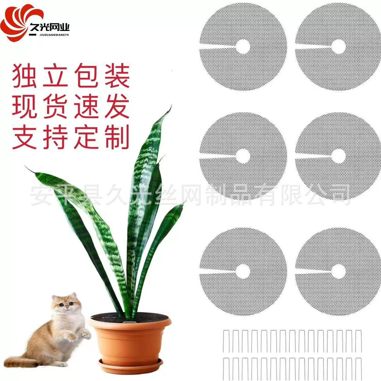 花盆土壤保护网格镂空固土防倒出土壤防护网植物防虫网圆形塑料网