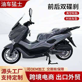 电动摩托车;电动三轮车;其他摩托车