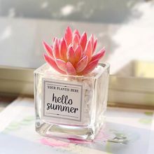 ���W�����������k��������С�[���������ԾGֲ�ٻ��b�Ʒ