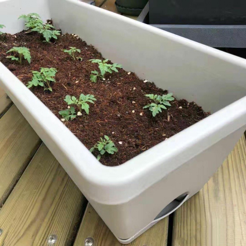 蔬菜种植箱种菜盆家用室内懒人阳台挂架清仓批发塑料长条霍伦花盆|ru