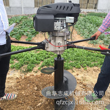 水泥电线杆埋桩打洞机 轻便手提式汽油挖坑机 螺旋式植树挖坑机