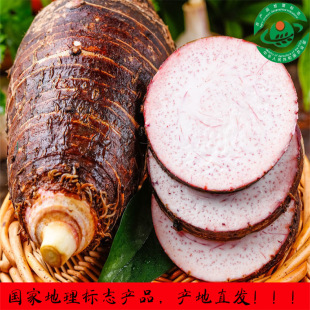 ���ҵ����־�aƷ�������^�a��ֱ�l�̳���ꌣ�����l����������