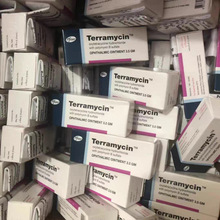 �����x���۸�������ș��؈�乷���t�[؈�۸�����