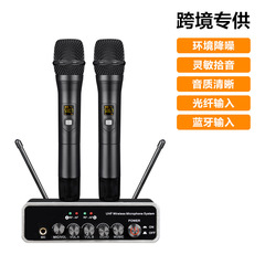 Cross-border private model U-section wireless microphone for two, TV KTV mobile computer singing dynamic microphone