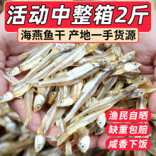 淡干海燕鱼公鱼干北海特产公干鱼银鱼仔自晒风干去头小咸鱼干海鲜