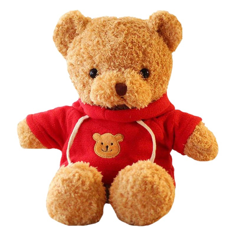 Suéter de color, muñeca de oso, oso de peluche, juguete de peluche, muñeca de oso, vestido de oso, pedido de oso, lote de regalo LOGO