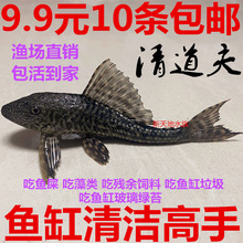 �~��ֱ�N������~���坍�����~���ͻ��w�����Ꭷ�~���嵭ˮ�^�p�~
