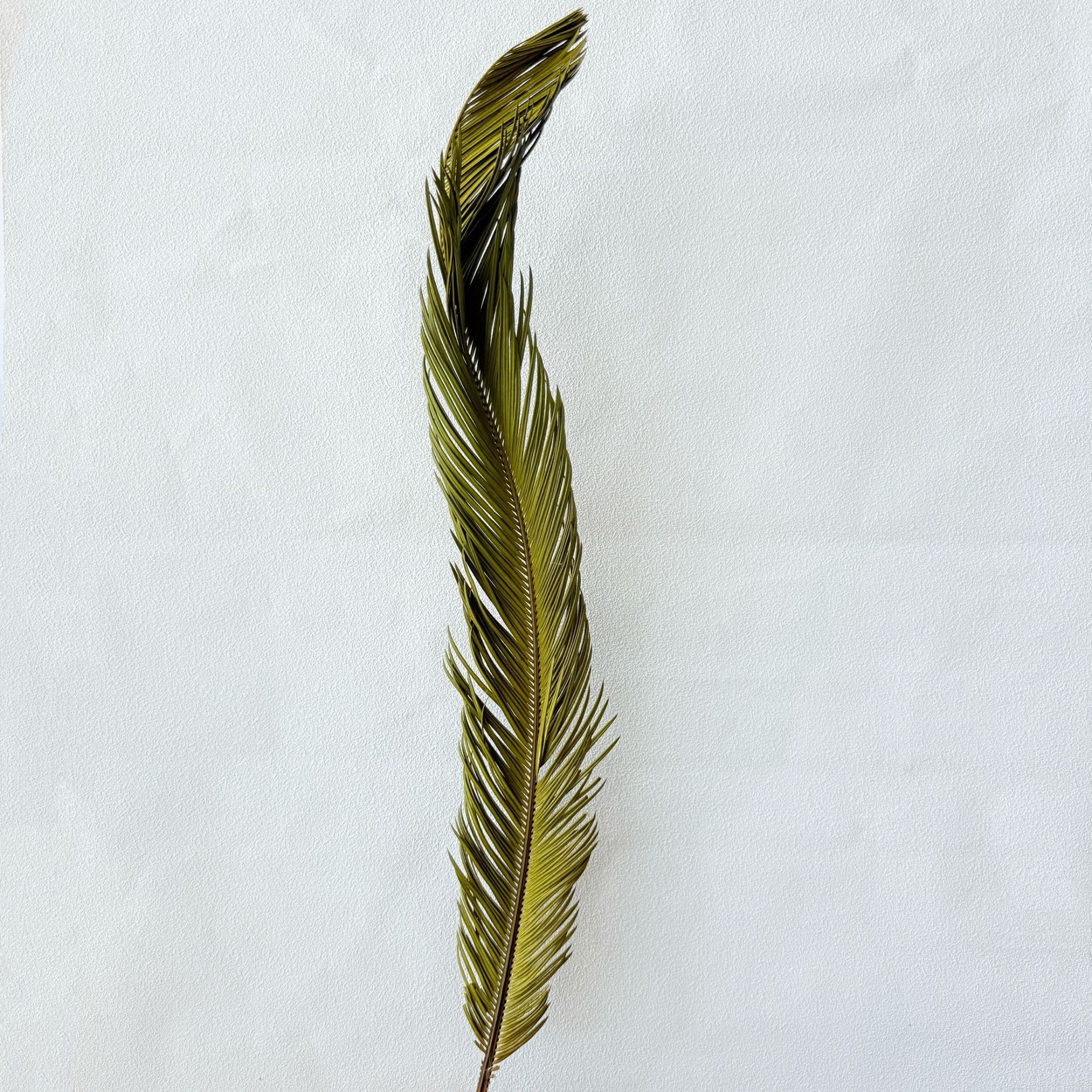 철 잎은 황록색이다