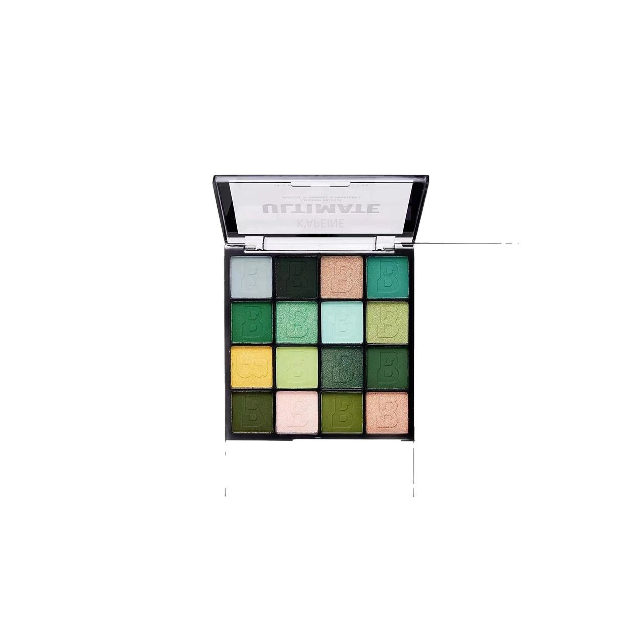 Sombra de ojos transfronteriza europea y americana 16 colores fruta del dragón gran color tierra mate fabricante de maquillaje de hadas de flores al por mayor