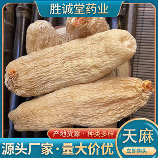 �����ͨ�t���邀���l��Ѭ��С��ƺ���������lҎ���������r��