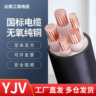 YJV���˼��~2 3 4 5о6 10 16 25ƽ��35������ȼ����늾���|��