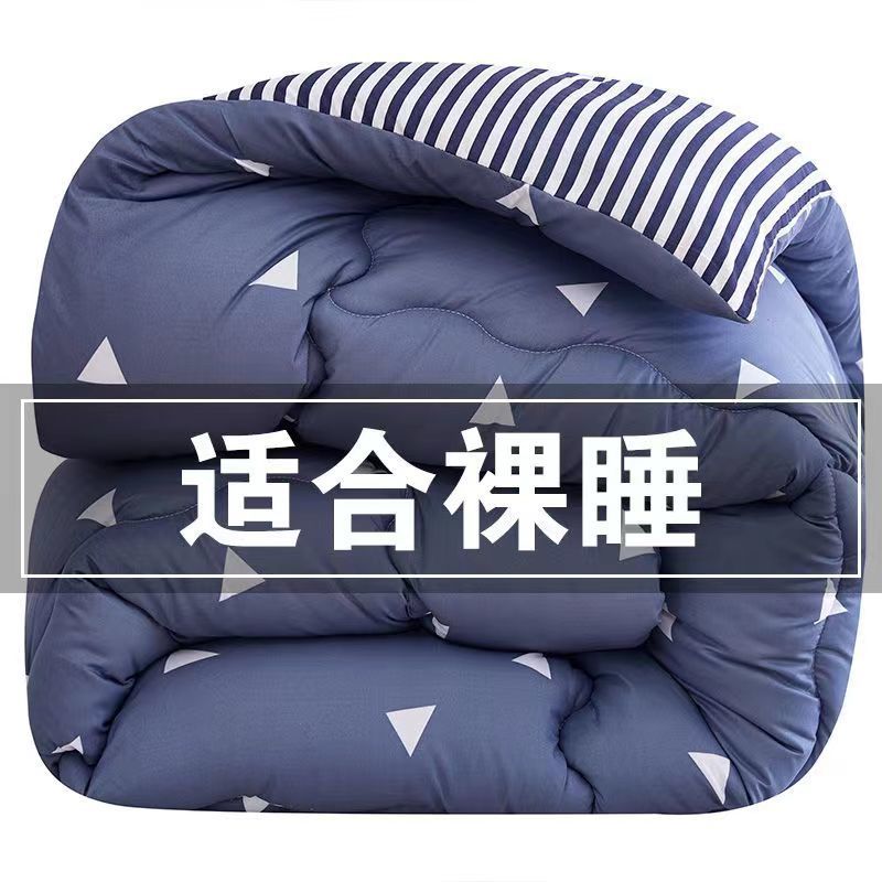 Quilt, Winter Quilt, Thickened Warm Quilt Core, Winter Cotton Quilt, Spring and Autumn Quilt, Single and Double Quilt, Student Dormitory Quilt