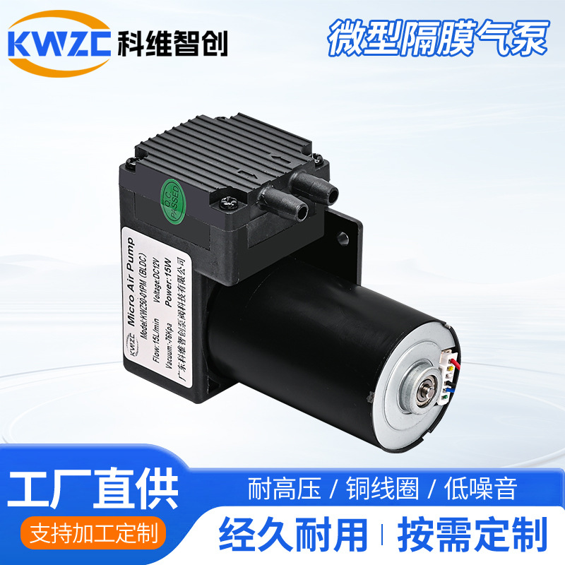 50-01PM-BLDC小型直流气泵微型隔膜真空泵抽打双用气泵负压泵静音