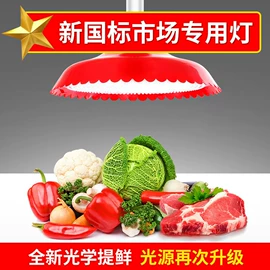 LED日光灯;LED球泡灯;LED支架灯