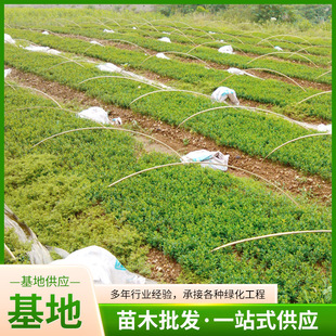 ����ֱ��������Ҏ���F�ڬF�u����ă��h�ʹ���G���ך�����ľ