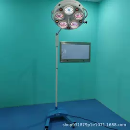 医疗灯具;个人护理电器;康复理疗设备