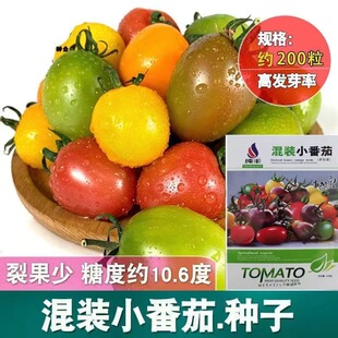 ���bС���ѷN�Ӳ�ɫ���t���Ѽt�S�G�Ϸ��ѷN�Ѵ��ļ������߹��N��