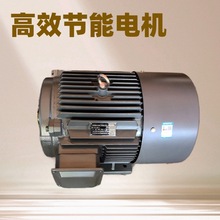 YE2  YE4 Y2 Y YE3-315L--6-132KW6�O ����늙C���ஐ��늄әC�