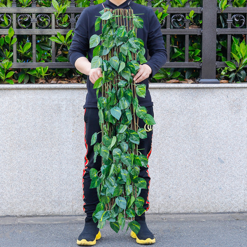 Simulated telescopic fence, rattan fence, yard plastic fence, wall protection, outdoor anti-corrosion wood fence, fence