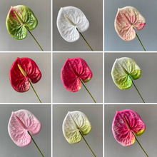 ֲСt3DӡWtbͥԺ쾰Gֲ羳¿Wt