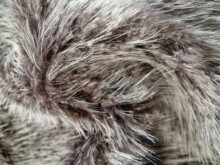 �S��ֱ�N�F؛����������ɫ�����I�Lë�q�������