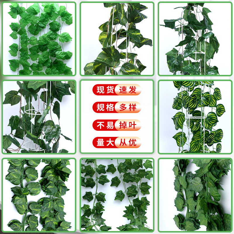 藤条葡萄海棠绿萝叶爬山虎植物藤蔓吊顶装饰人造塑料假绿植高仿真