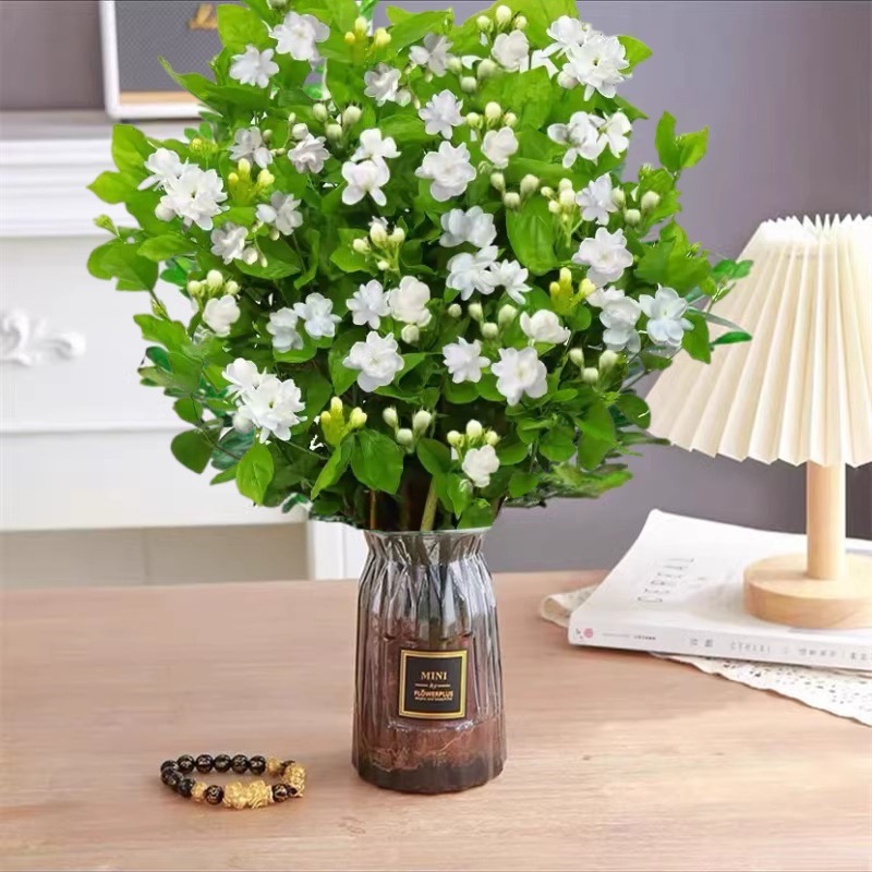 [수경 폭발 화분] 엄선된 자스민 꽃 10송이(종이접기 회색 유리병) 무료 크리스탈 머드