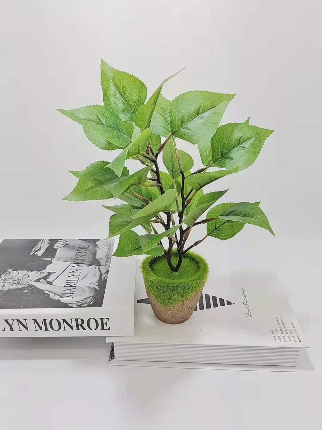 a601623a773e1f8f4a81aaec7566c1