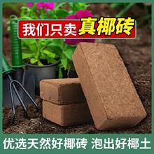 Ҭ�u�I�B������ֲ��ͨ�÷N����������Nֲ���M��Ó�}Ҭ����KҮ�u