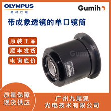 �W�ְ�˹U-TLU ������͸�R�Ćο��RͲ