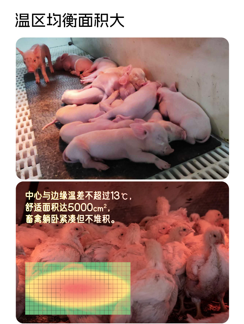 矩形采暖灯罩_F.jpg