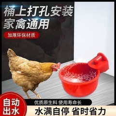 家禽鸡鸭用喝水器加厚耐用新款鹌鹑鸽子养殖自动饮水碗大容量批发