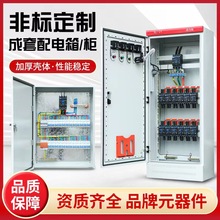 ���������������XL21�������͉������������ƙ��_�P�����