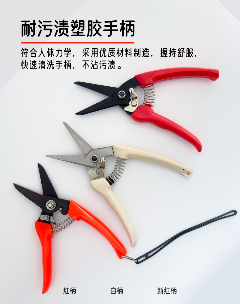 羊用修蹄剪详情_M.jpg